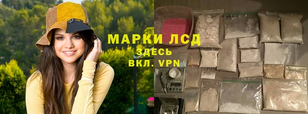 амф Аркадак