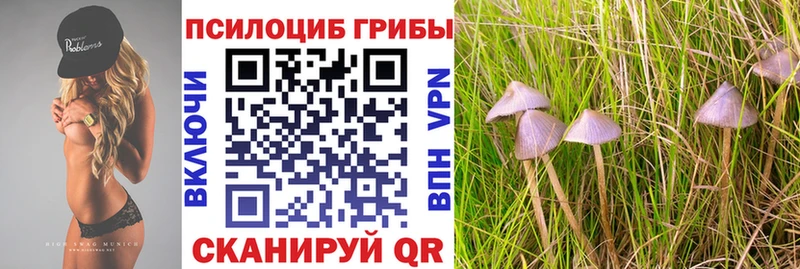 Галлюциногенные грибы мицелий Терек